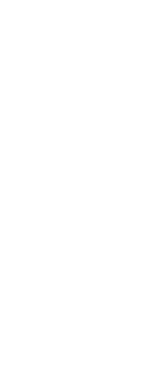 Dönerspieß